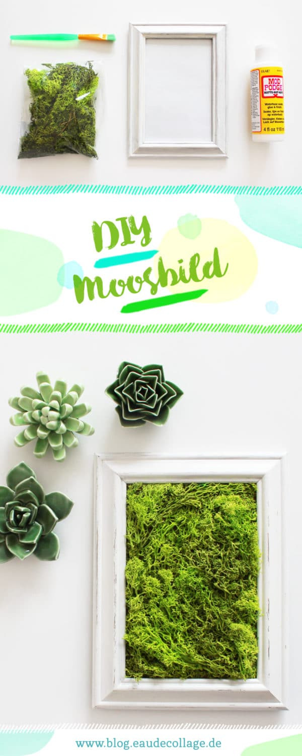 Moosbild Diy
 DIY MOOSBILD SELBER MACHEN WANDDEKO MIT ISLANDMOOS