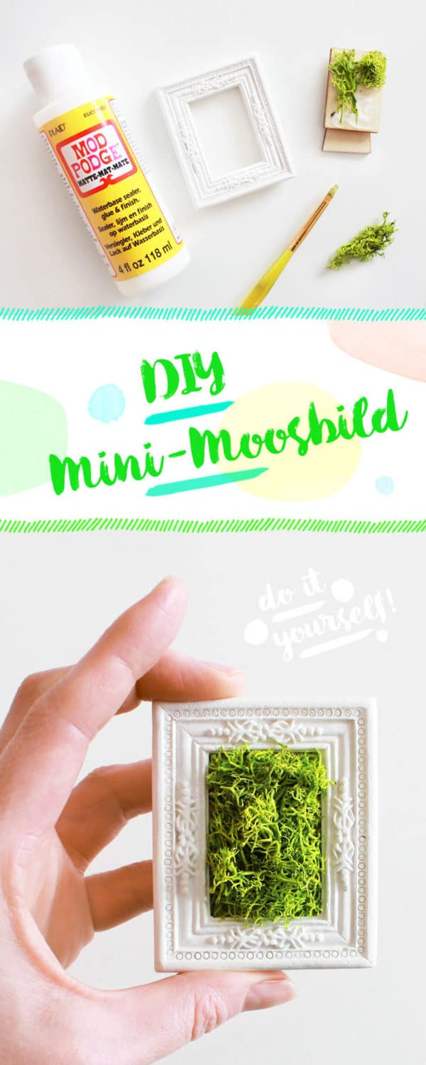 Moosbild Diy
 DIY MINI MOOSBILD SELBER MACHEN GESCHENK & WANDDEKO