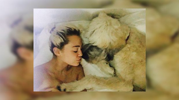 Nackt Im Bett
 Miley Cyrus nackt im Bett von Liam Hemsworth