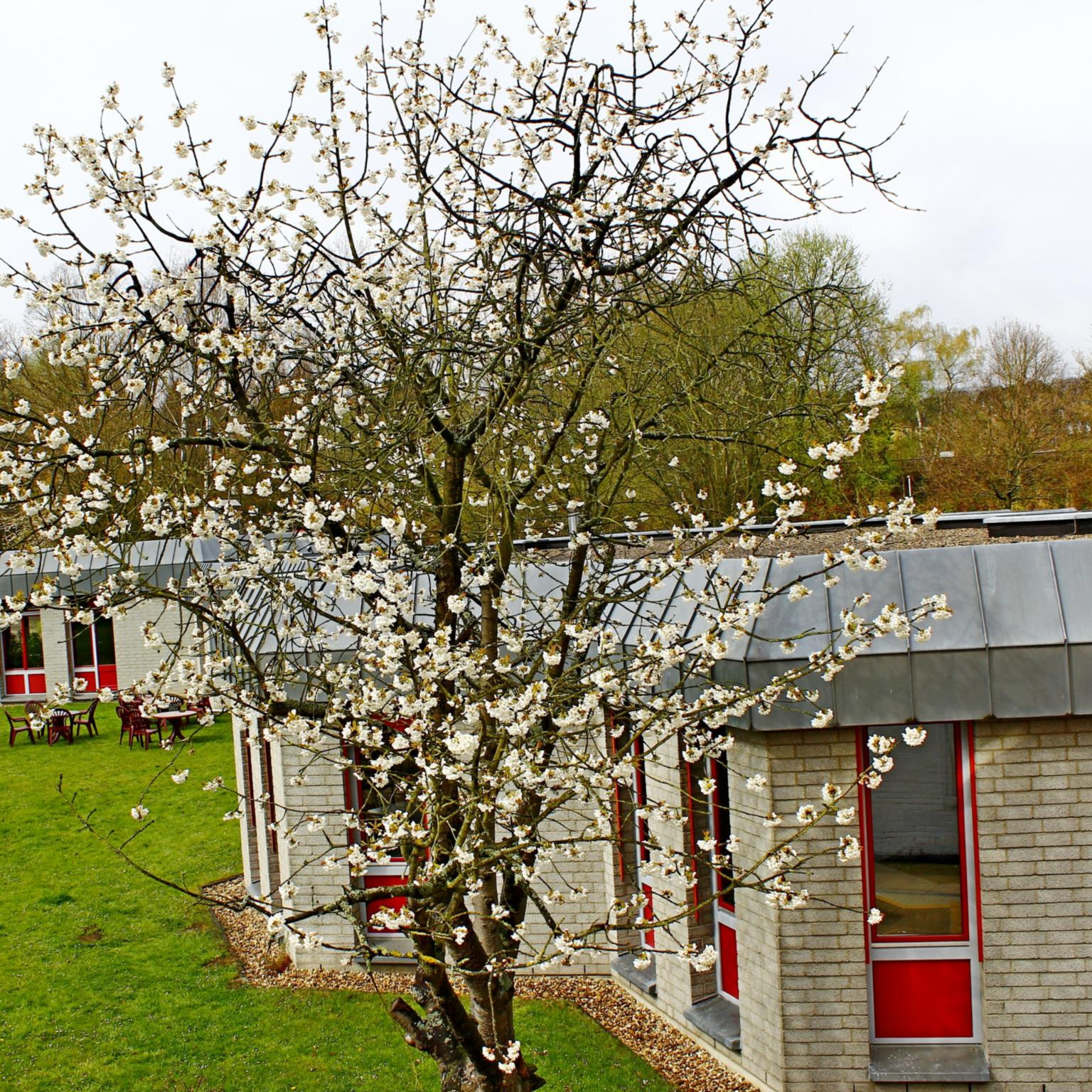 Nell Breuning Haus
 Startseite