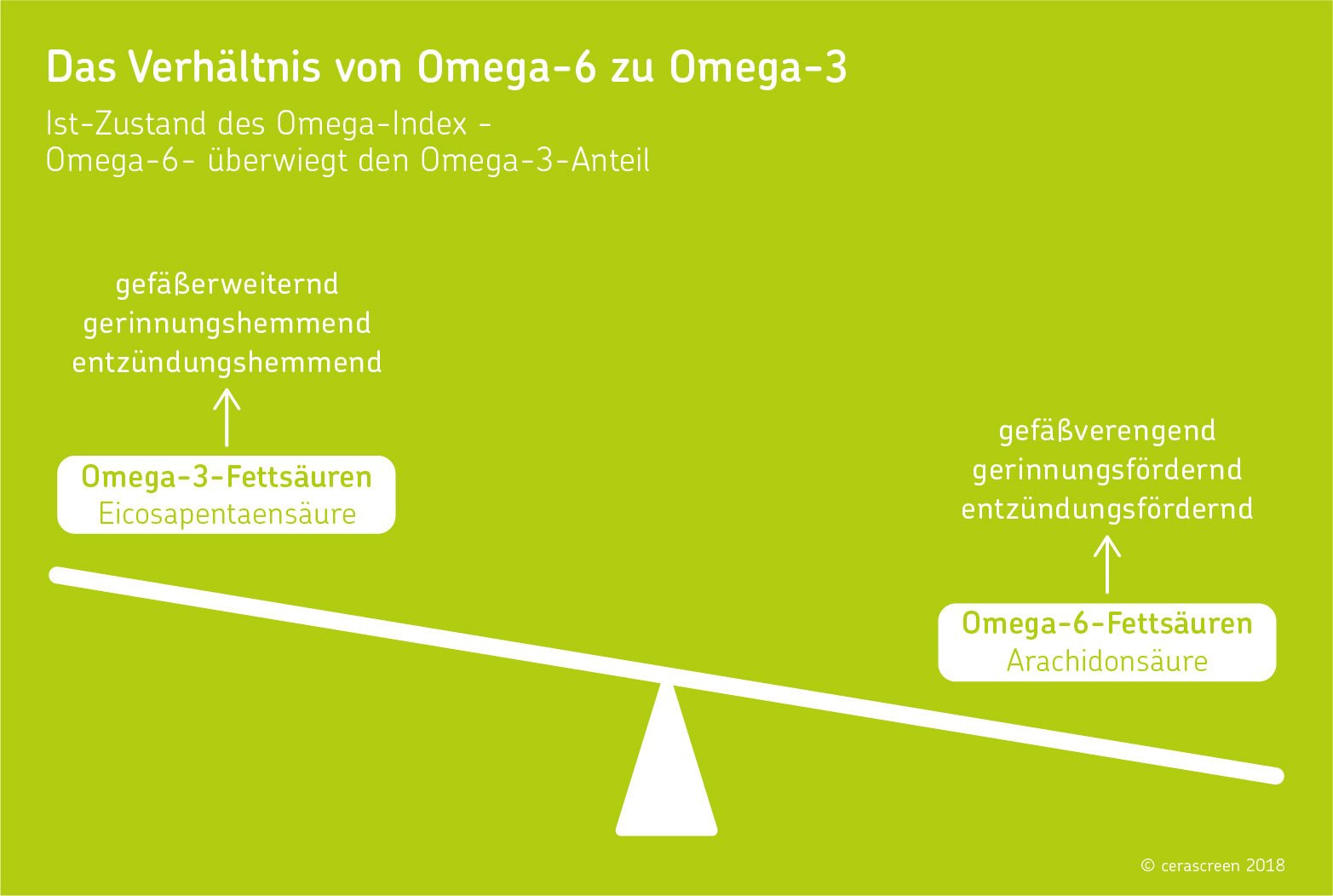 Omega 3 Fettsäuren Lebensmittel Tabelle
 Omega 3 und Omega 6 Fettsäuren