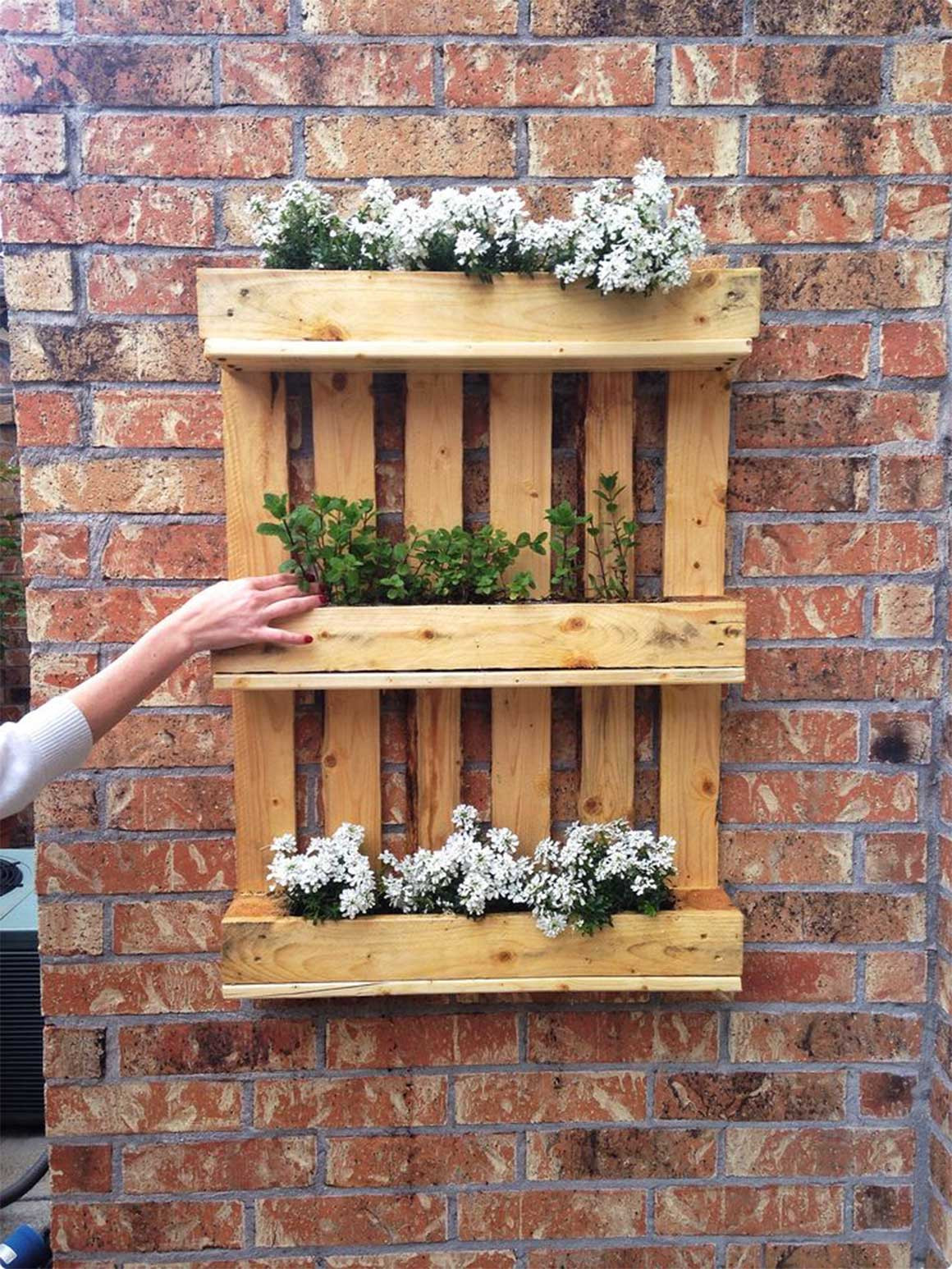 Palette Diy
 DIY Shipping Pallet Garden Ideas Pallet Idea