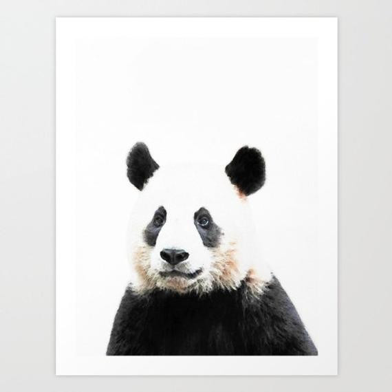 Panda Geschenke
 Ähnliche Artikel wie Panda Druck Panda Geschenke Panda Bär