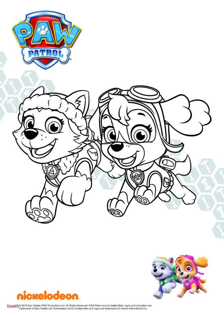 Paw Patrol Ausmalbilder
 Paw Patrol Malvorlagen ekasapta