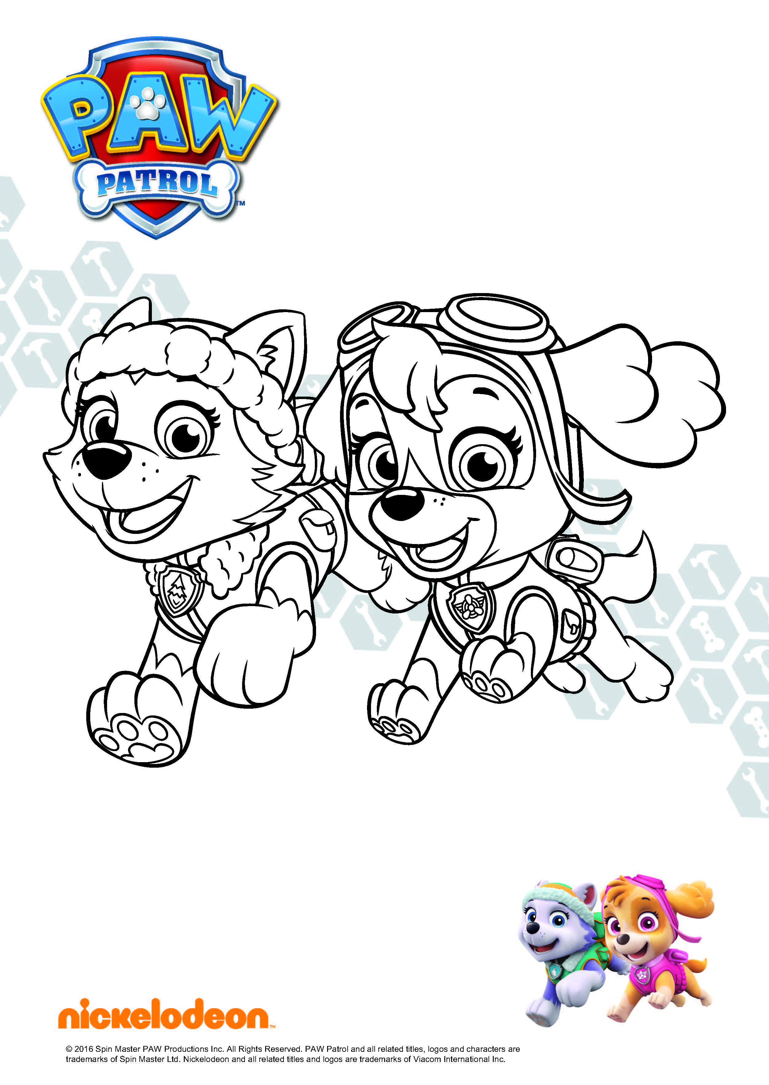 Paw Patrol Sky Ausmalbilder
 Paw Patrol Ausmalbilder