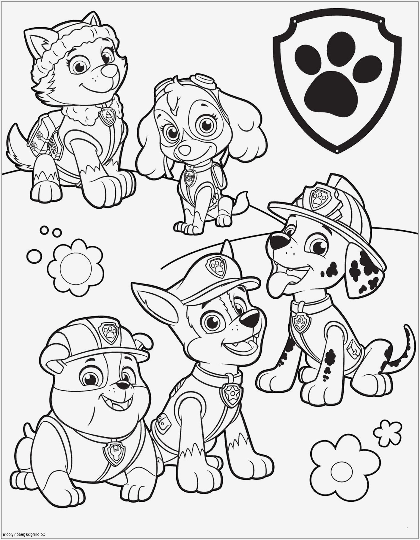 Paw Patrol Sky Ausmalbilder
 90 Genial Paw Patrol Ausmalbilder Tracker Bilder