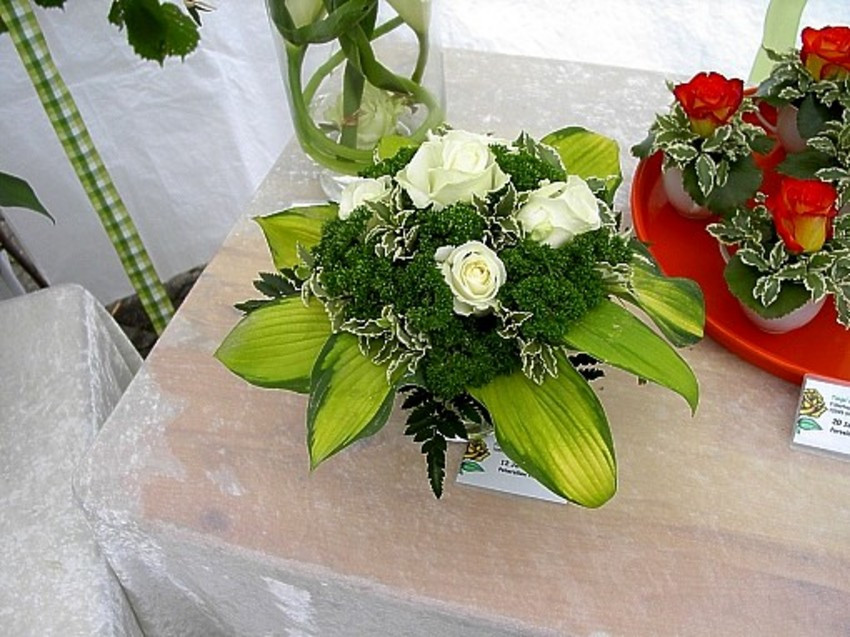 Petersilien Hochzeit
 Tanja s Blumenstube Blumen & Floristik in Stuttgart