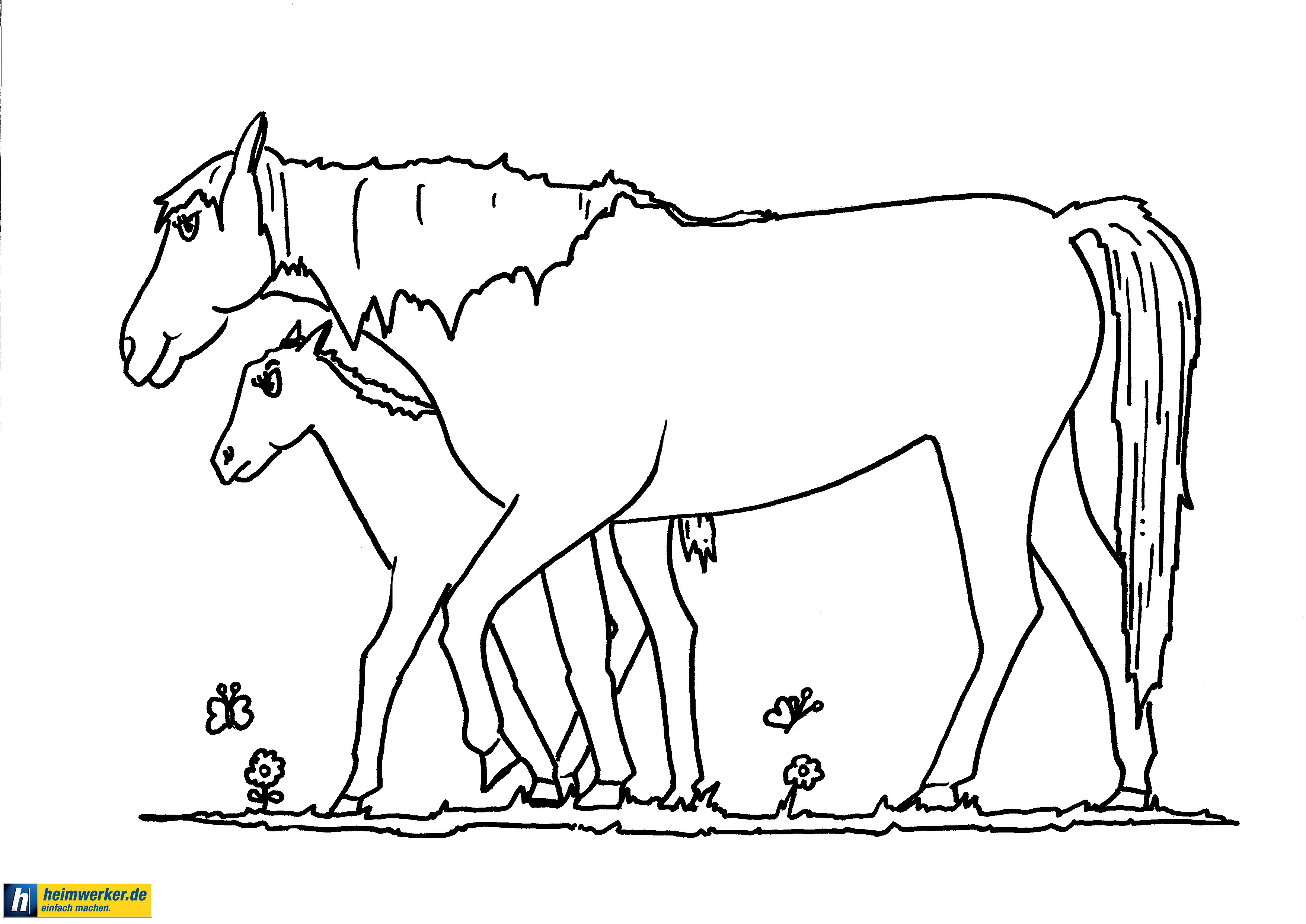 Pferde Ausmalbilder Mit Fohlen
 Ausmalbilder pferde mit fohlen kostenlos Malvorlagen zum