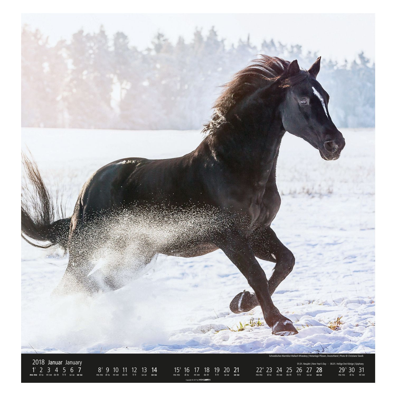 Pferde Geschenke
 Kalender Geschenke Loesdau Passion Pferdesport