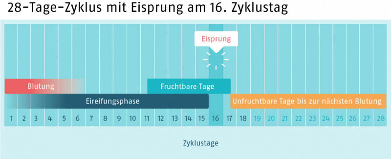 Pille Tabelle
 Die Pille danach Anwendung Kosten Sicherheit