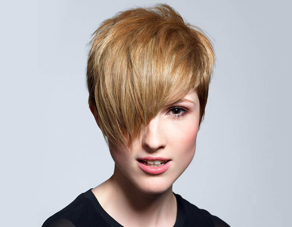 Pixie Bob Frisuren
 Frisuren Anleitung Pixie Cut