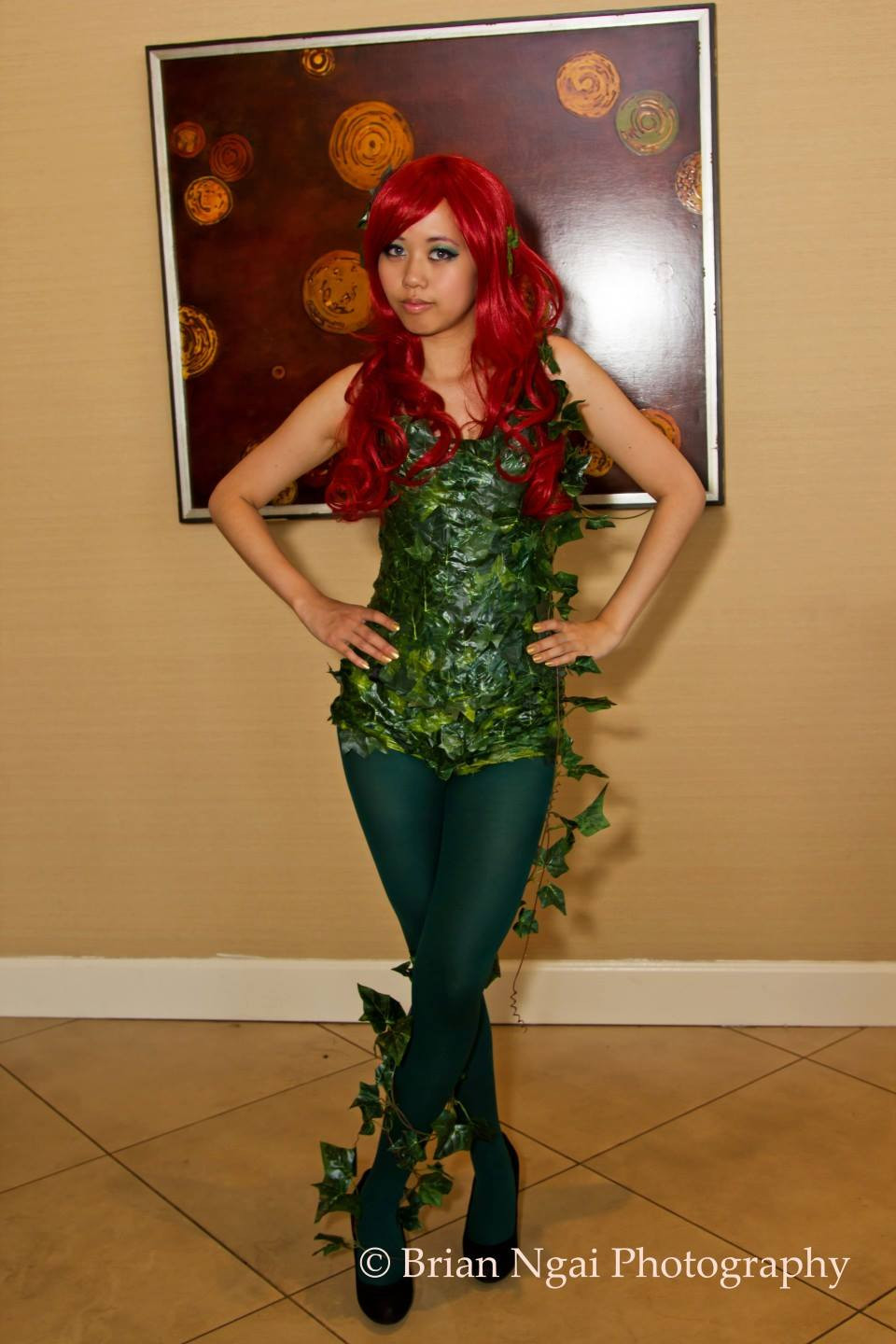 Poison Ivy Kostüm Diy
 Halloween Easy Poison Ivy Cosplay Costume and Makeup my