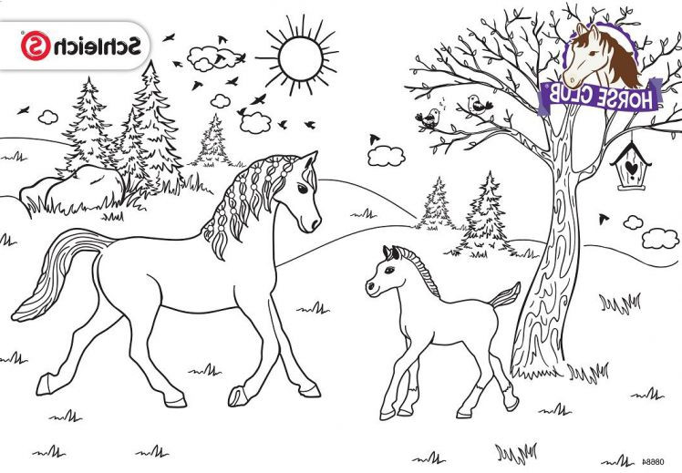 Schleich Coloring Pages Coloring Pages