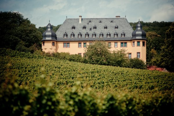 Schloss Vollrads Hochzeit
 Hochzeit Hochzeitsfotograf Schloss Vollrads Fotograf