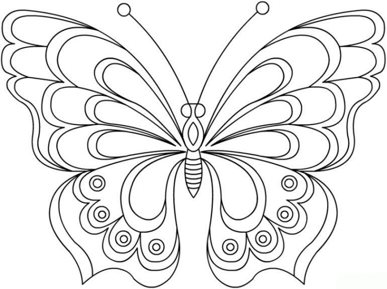 Schmetterlinge Ausmalbilder
 schmetterling malvorlage 04 Vorlagen Zeichnen