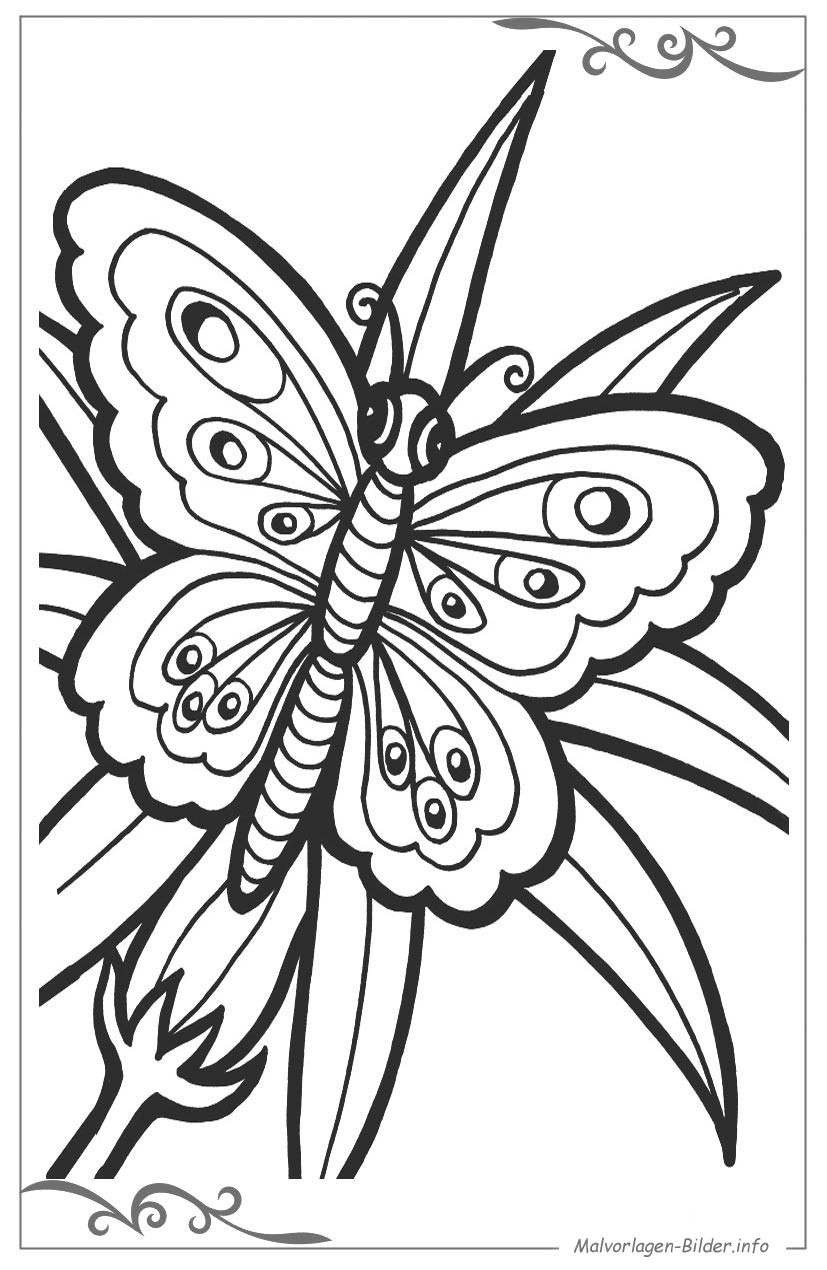 Schmetterlinge Ausmalbilder
 Schmetterlinge ausmalbilder kostenlos online zeichnen für