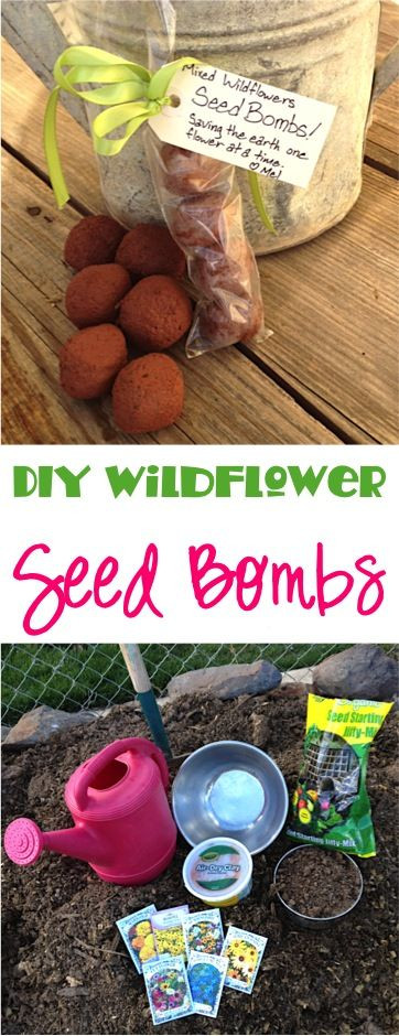 Seedbombs Diy
 DIY Wildflower Seed Bombs Tutorial at TheFrugalGirls