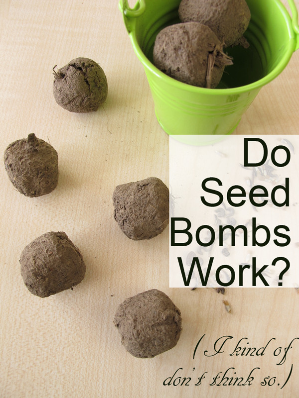 Seedbombs Diy
 Do Seed Bombs Work I Kind of Don t Think So Crafting