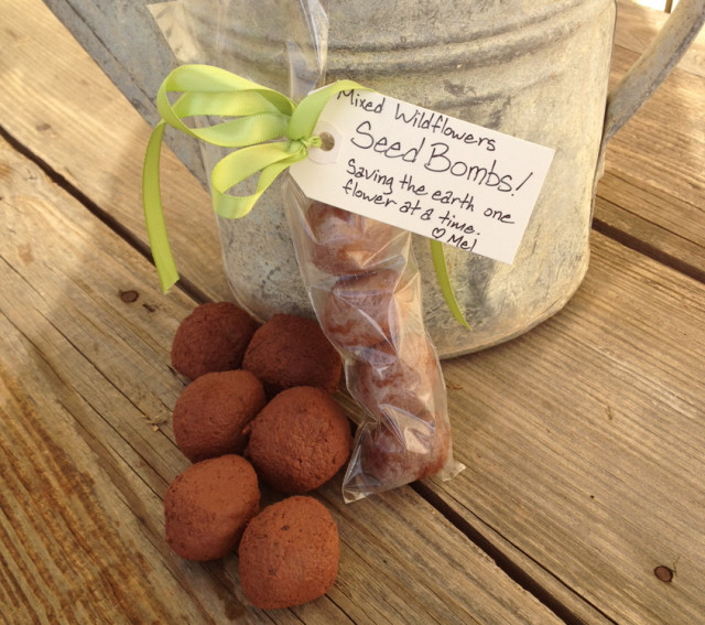Seedbombs Diy
 DIY Seed Bombs Wildflower Gardening Gift Idea  The