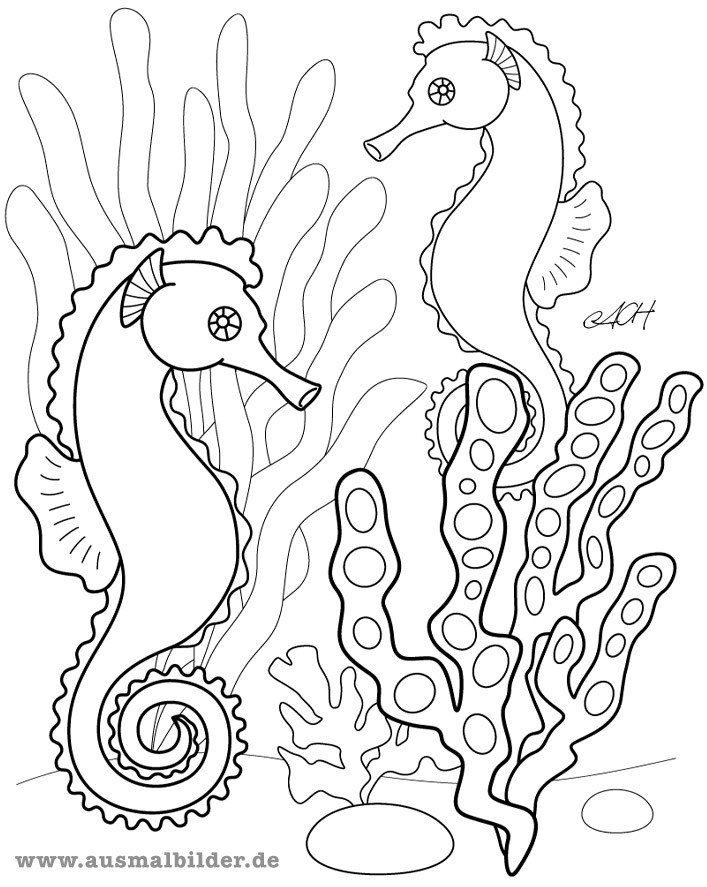 Seepferdchen Ausmalbilder
 Thema Zeepaardjes kleuters Theme seahorse preschool on