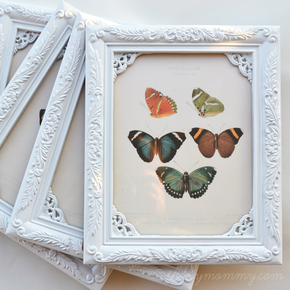 Shabby Diy
 DIY Shabby Chic Butterfly Art For $1 & A Value Village 50