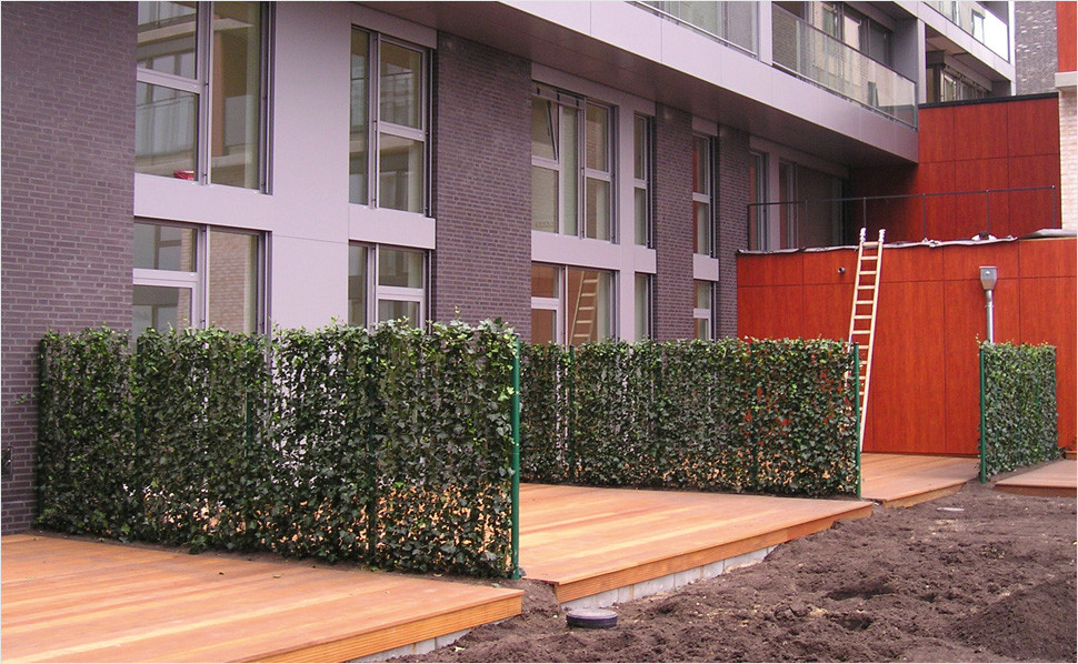 Sichtschutz Für Garten
 Sichtschutz für Garten und Terrasse – Tipps von HORNBACH