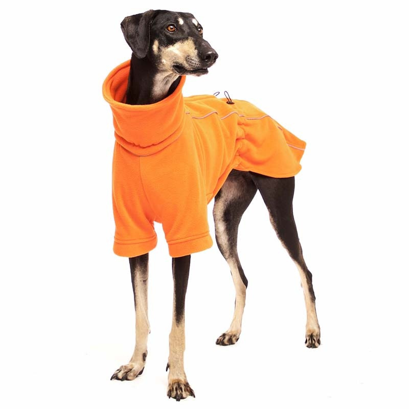 Sofa Dog Wear
 SOFA Dog Wear