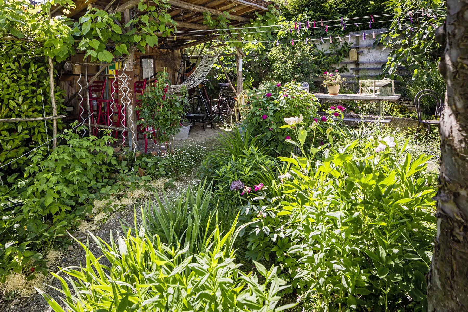 Solaranlage Für Garten
 Gärten des Jahres Grimm Für Garten Naturpools und