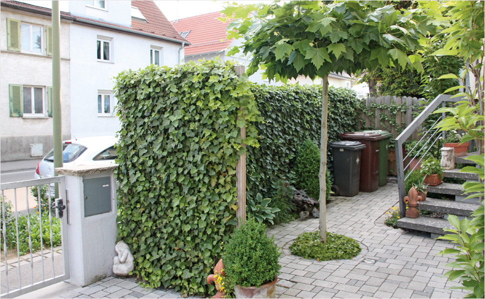 Solaranlage Für Garten
 Sichtschutz für Garten und Terrasse – HORNBACH Schweiz