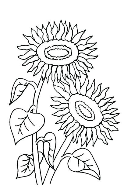 Sonnenblumen Malvorlagen
 Sonnenblumen Malvorlagen Sunflowers Sonnenblumen