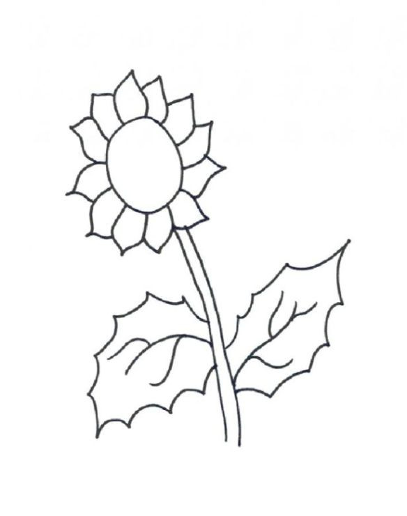 Sonnenblumen Malvorlagen
 Malvorlagen zum Ausmalen Ausmalbilder Sonnenblume gratis 2