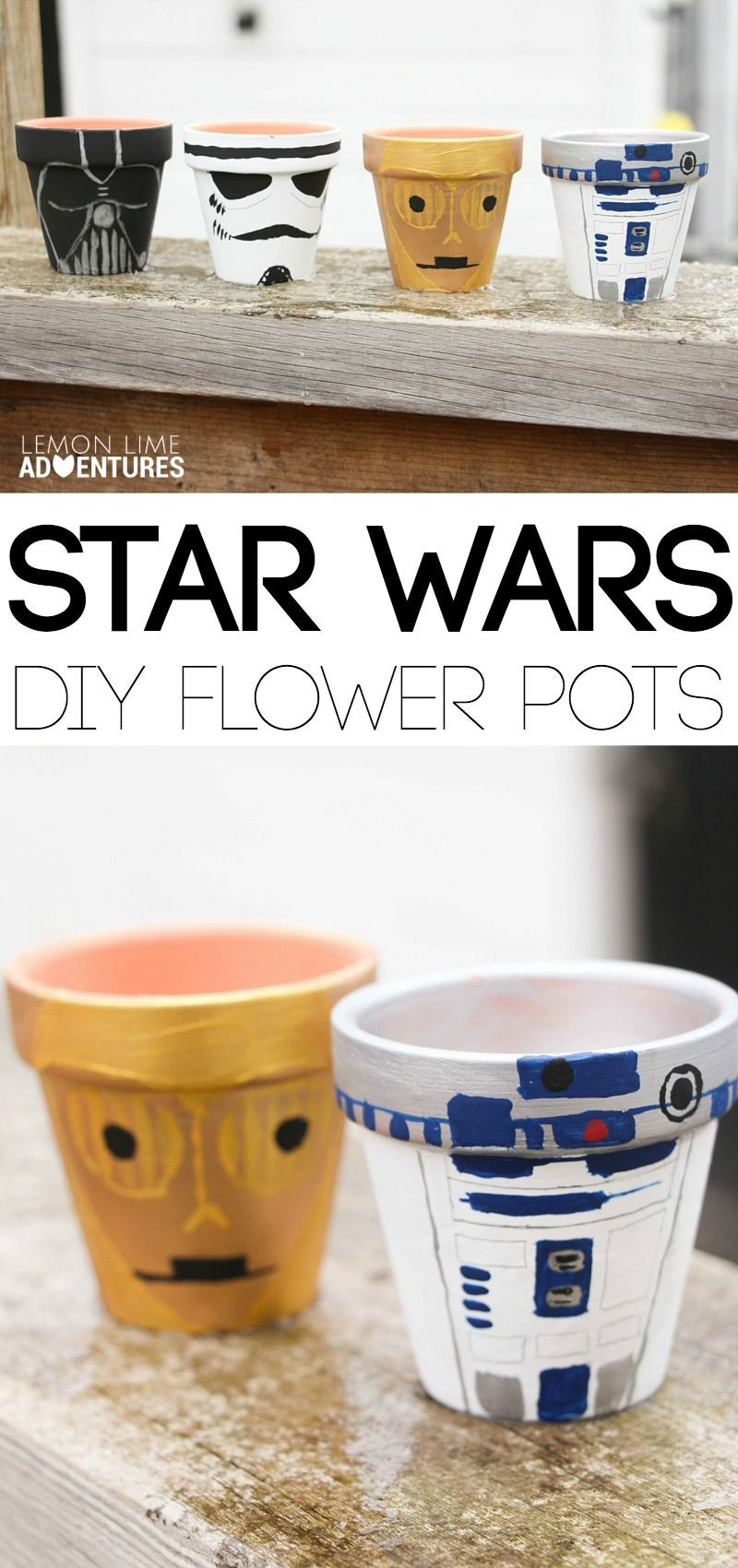 Star Wars Diy
 DIY Star Wars Garden Pots