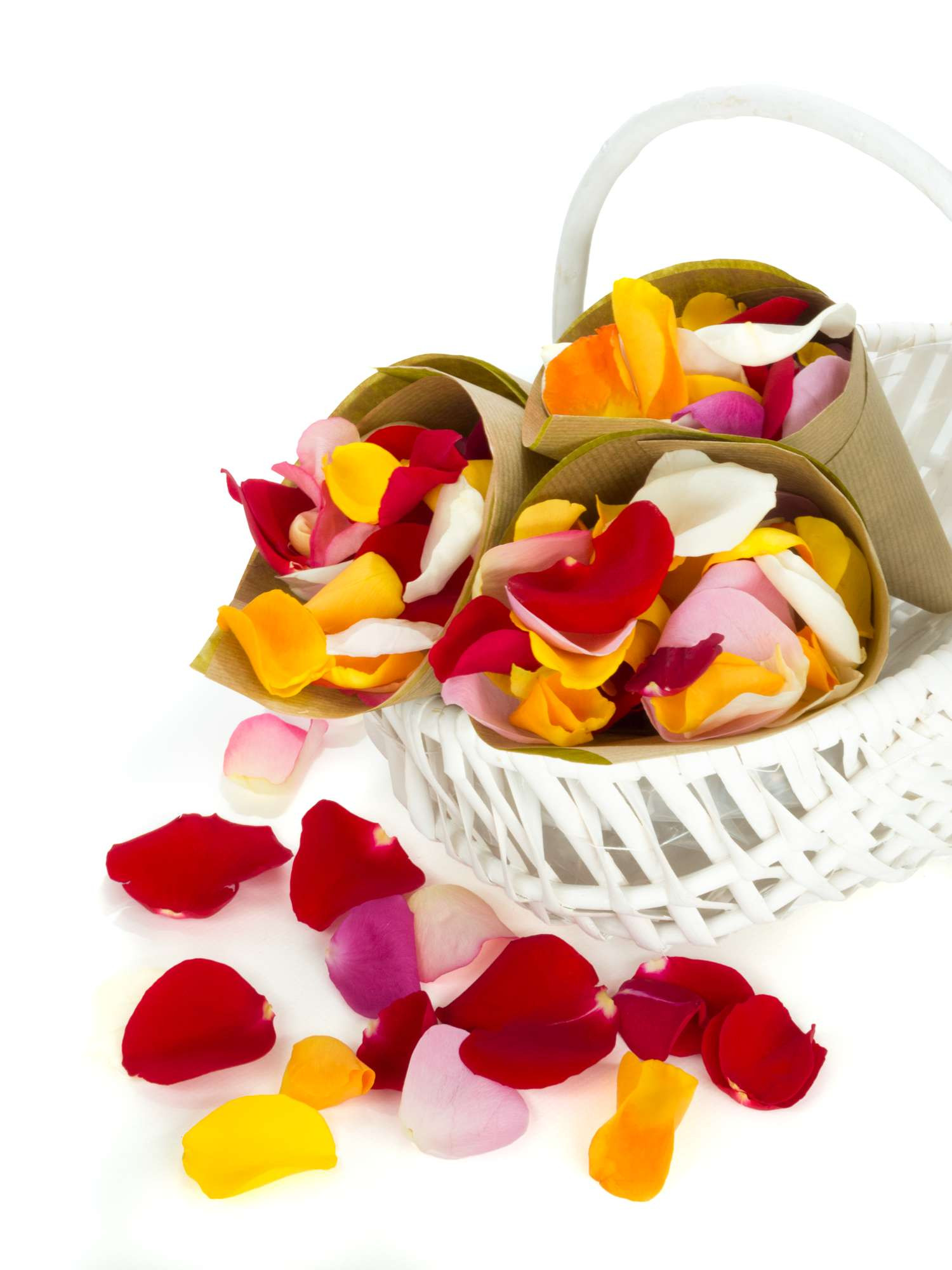 Streublumen Hochzeit
 Echte Streublumen – bunt bestellen