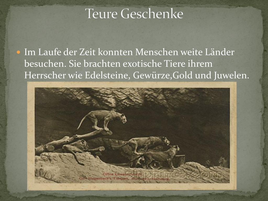 Teure Geschenke
 Aus der Geschichte der Zoos ppt herunterladen