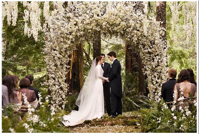 Twilight Hochzeit
 The Twilight Saga Breaking Dawn Part 1 images the wedding