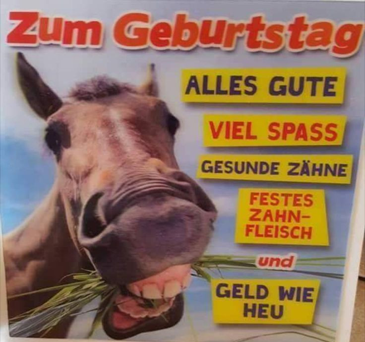 Verrückte Geburtstagsbilder
 Die besten 25 verrückte Freunde Zitate Ideen auf