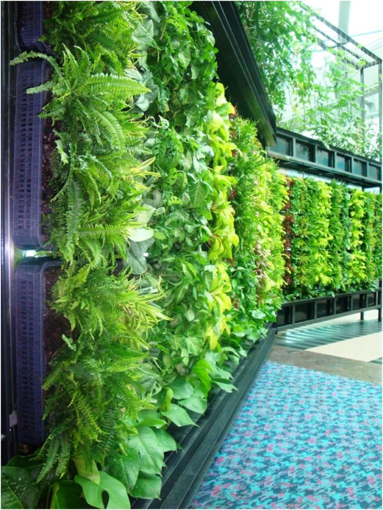 Vertical Garden Diy
 Inside Urban Green DIY Living Wall Changi Airport