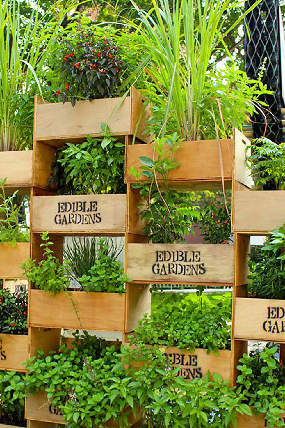 Vertical Garden Diy
 22 Awesome DIY Vertical Garden Ideas That Will Refresh