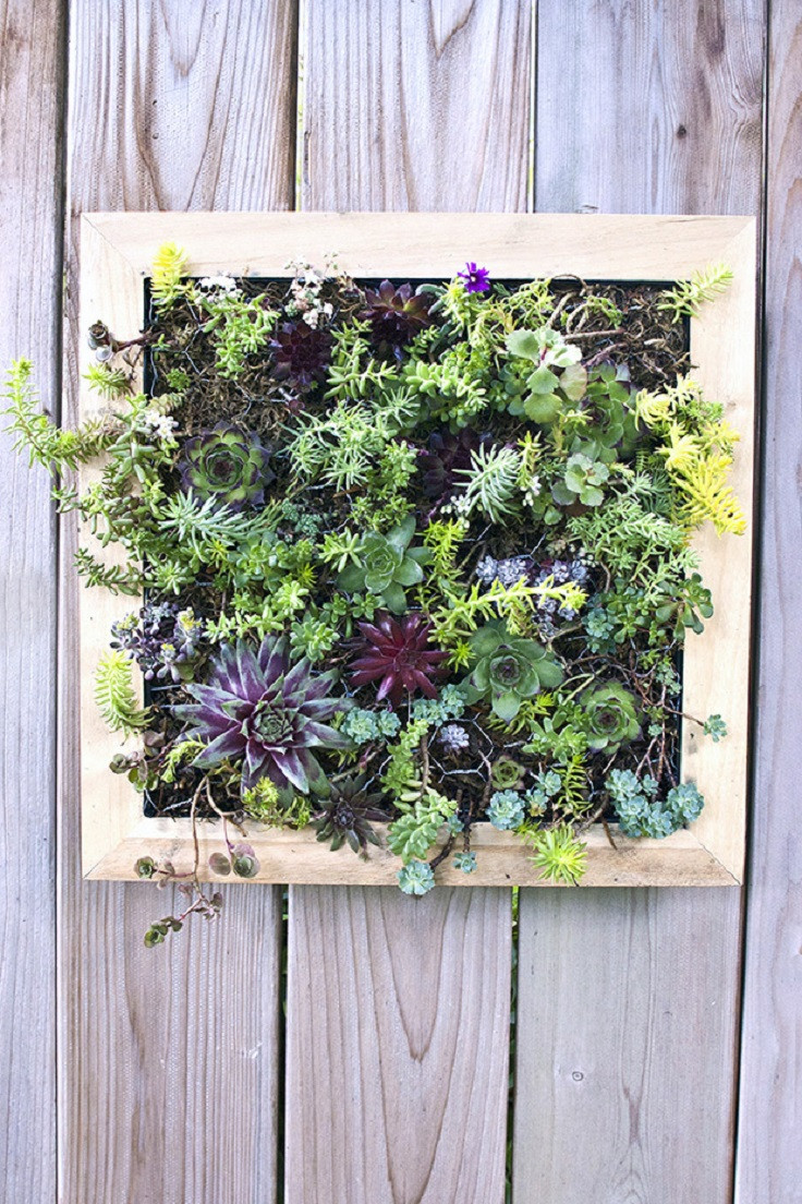 Vertical Garden Diy
 TOP 10 DIY Outdoor Succulent Garden Ideas Top Inspired