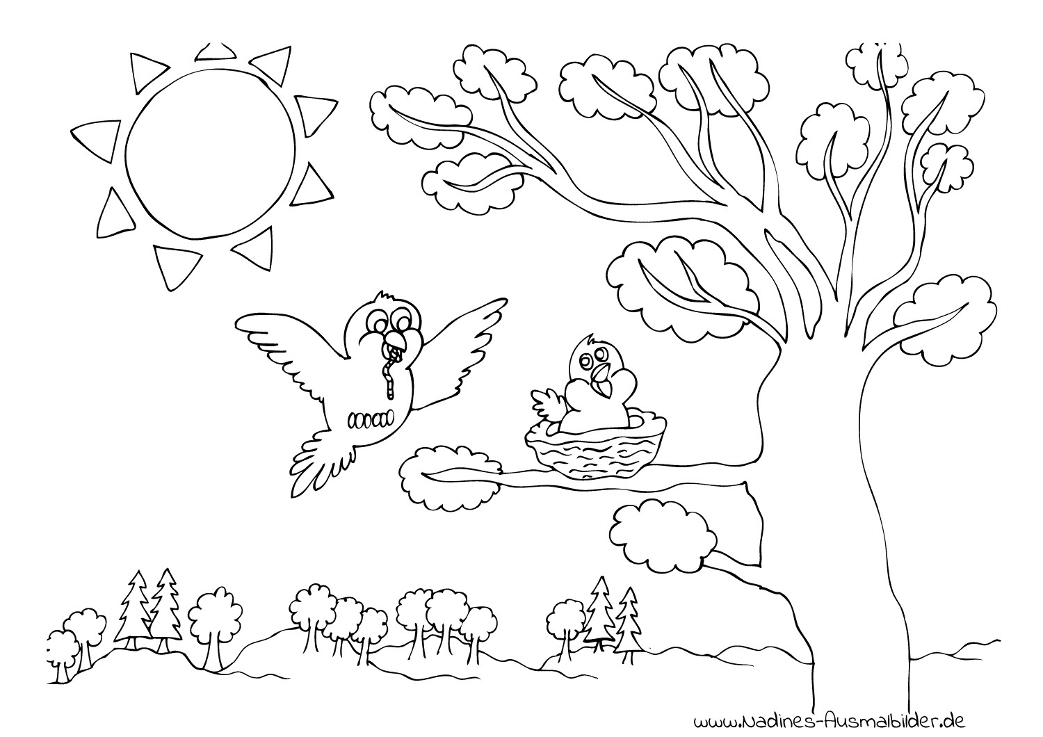 Задания день птиц. Весенние раскраски для детей. Весенний пейзаж раскраска для детей. Раскраски природа для средней группы.