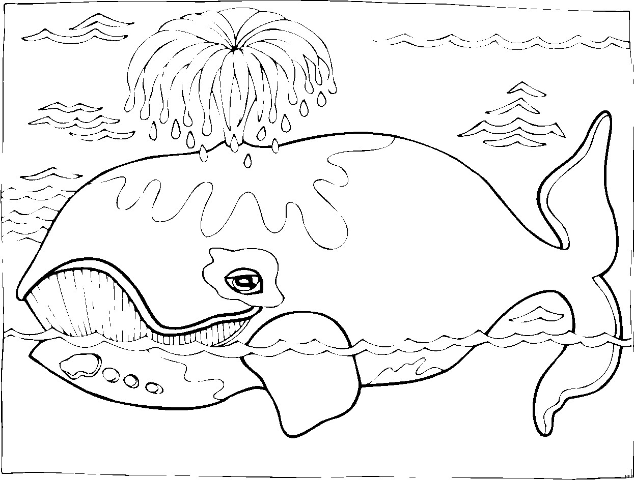 Wal Ausmalbilder
 Wal Sprueht Wasser 2 Ausmalbild & Malvorlage Tiere