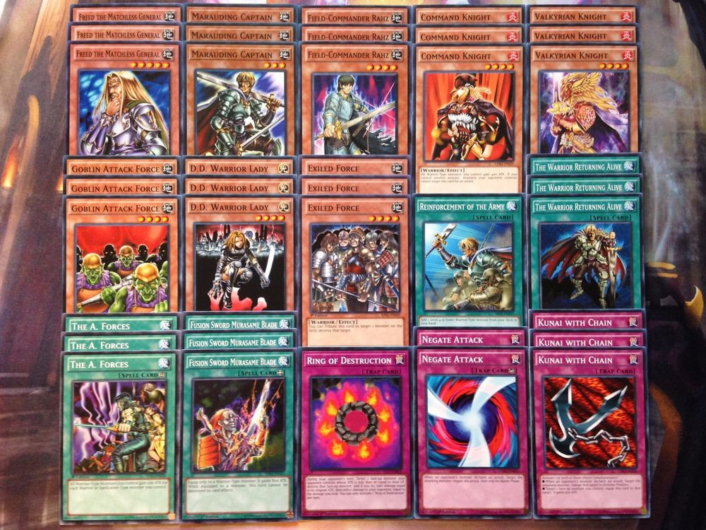Warrior Deck
 Yugioh Tournament Ready To Play Warrior Toolbox 40 Card