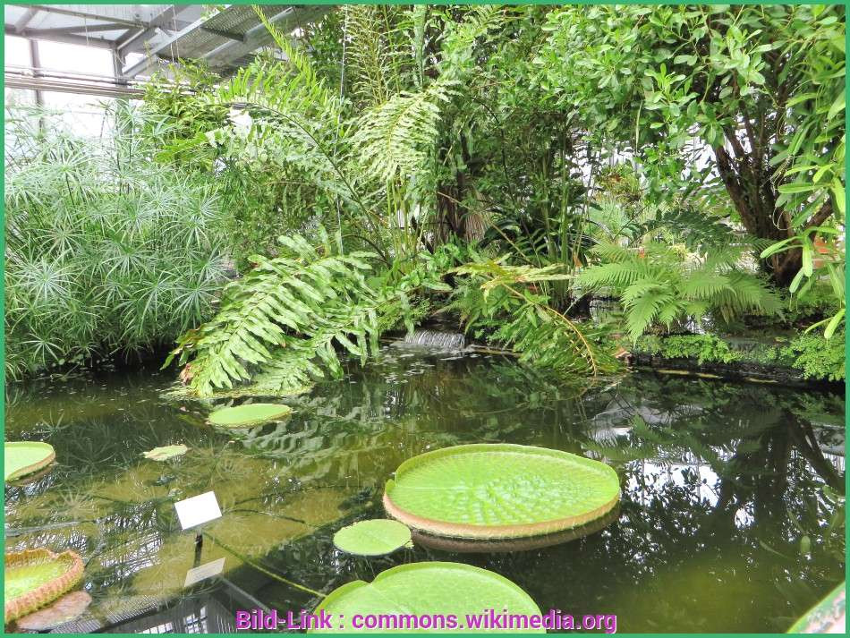 Wasserhahn Garten Säule
 Wasserhahn Garten Säule Kludi Mx Spültisch