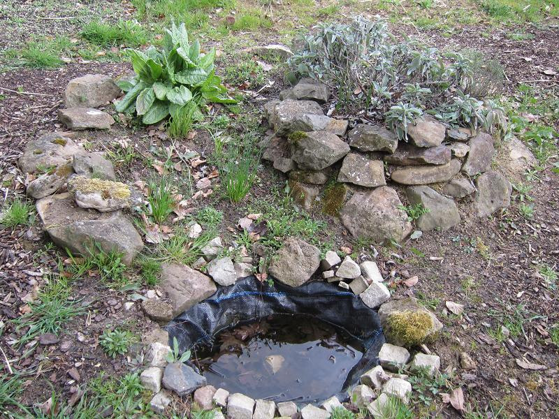 Wasserstelle Im Garten
 Mein Naturgarten Der Kleingarten als Biotop