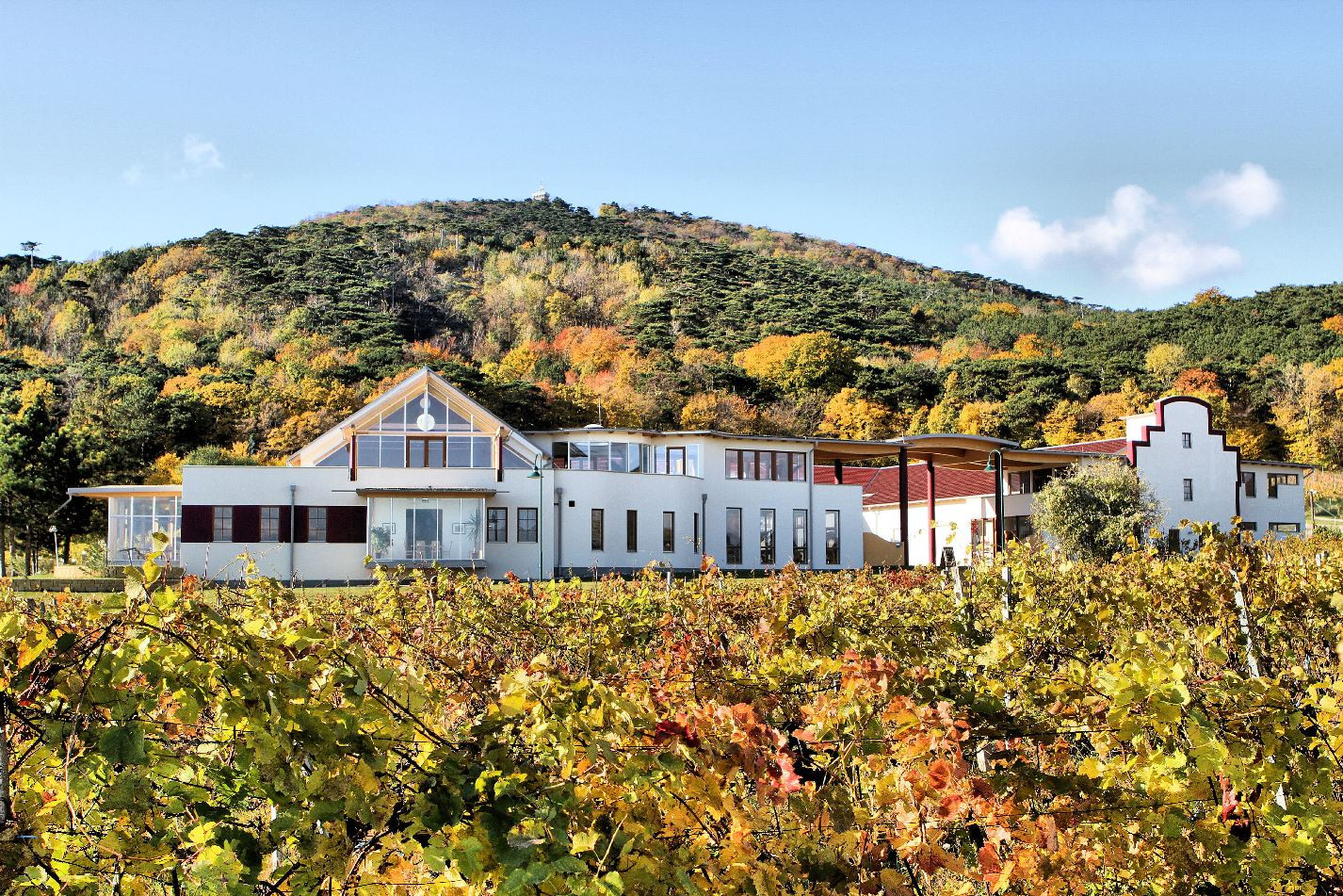 Weingut Hochzeit
 Weingut Schlossberg Hochzeitslocation Niederösterreich