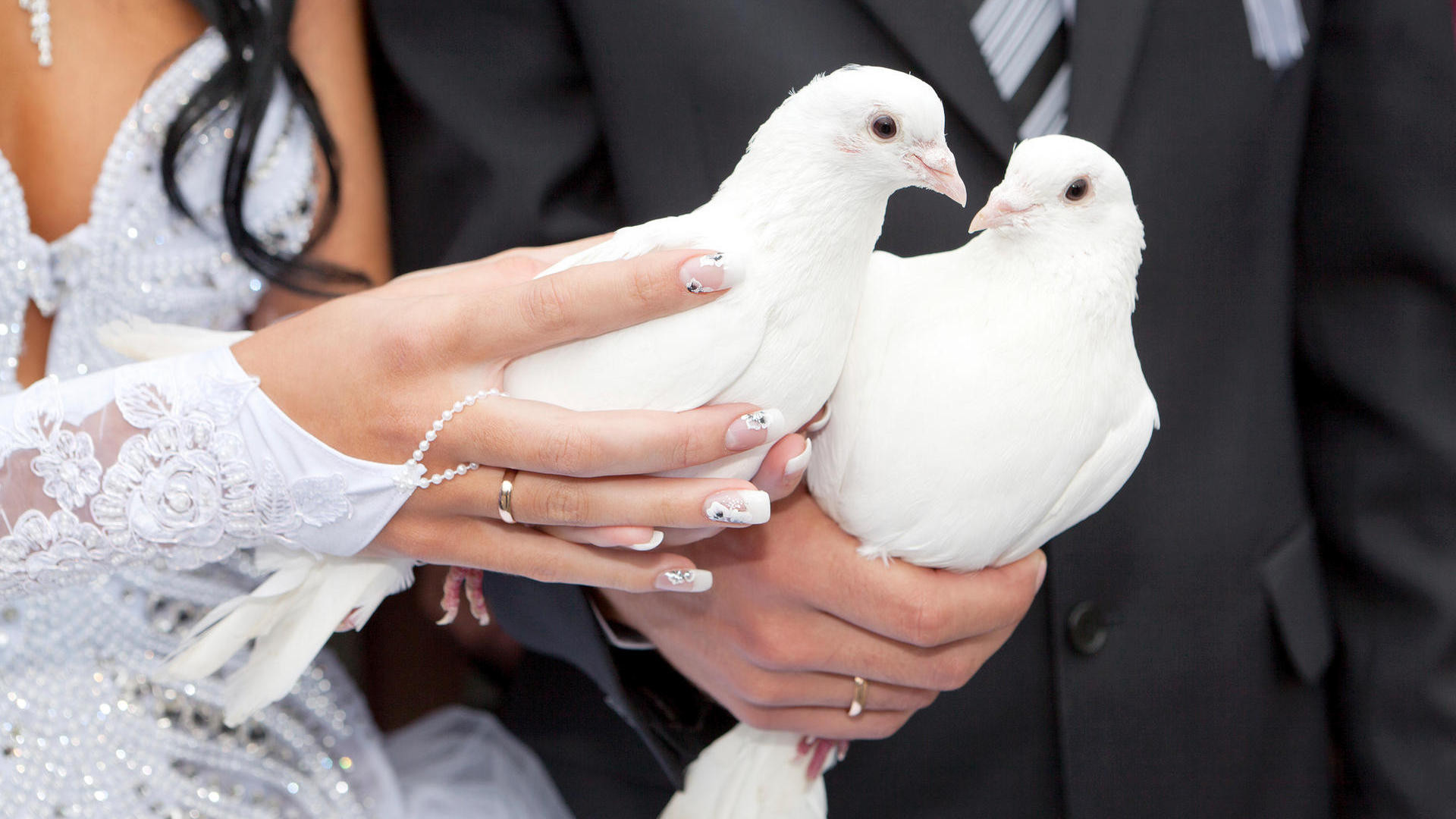 Weiße Tauben Zur Hochzeit
 Tauben zur Hochzeit Woher kommt der Brauch