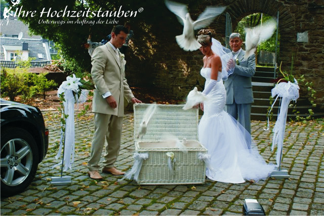 Weiße Tauben Zur Hochzeit
 Bildergalerie von weisse Tauben zur Hochzeit Sehen Sie