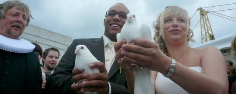 Weiße Tauben Zur Hochzeit
 Hochzeitstauben Weiße Tauben zur Hochzeit Hamburg und