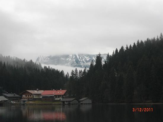 Willy Merkl Haus
 Schweinsbraten Picture of Berggasthof Willy Merkl Haus