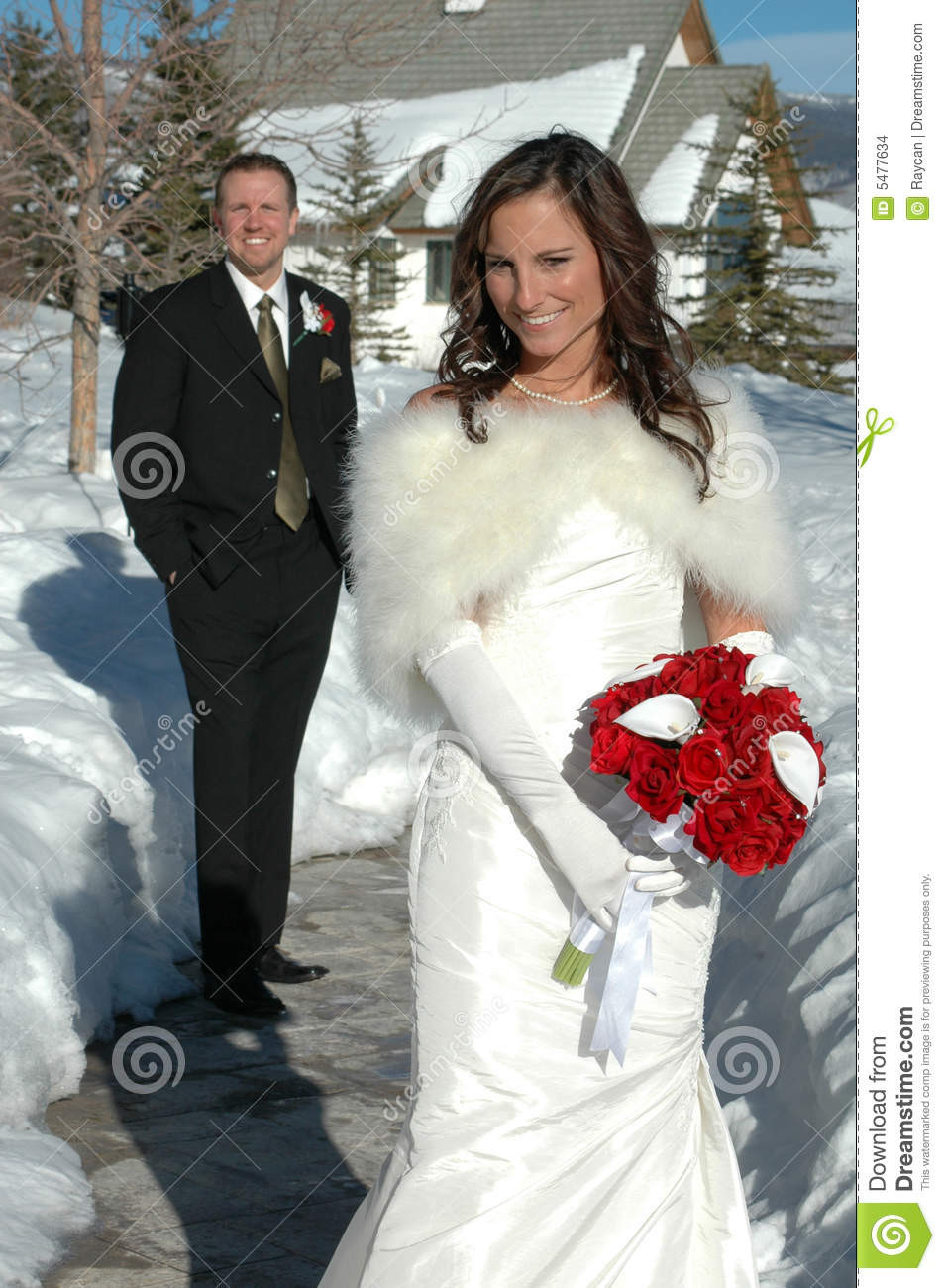 Winter Hochzeit
 Winter Hochzeit Stockbilder Bild